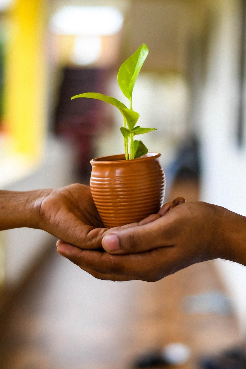 Eco-Friendly Pest Control Mumbai